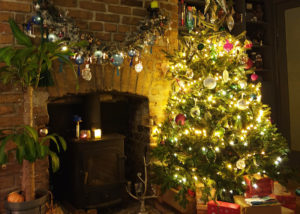 Business Podcast for Cork